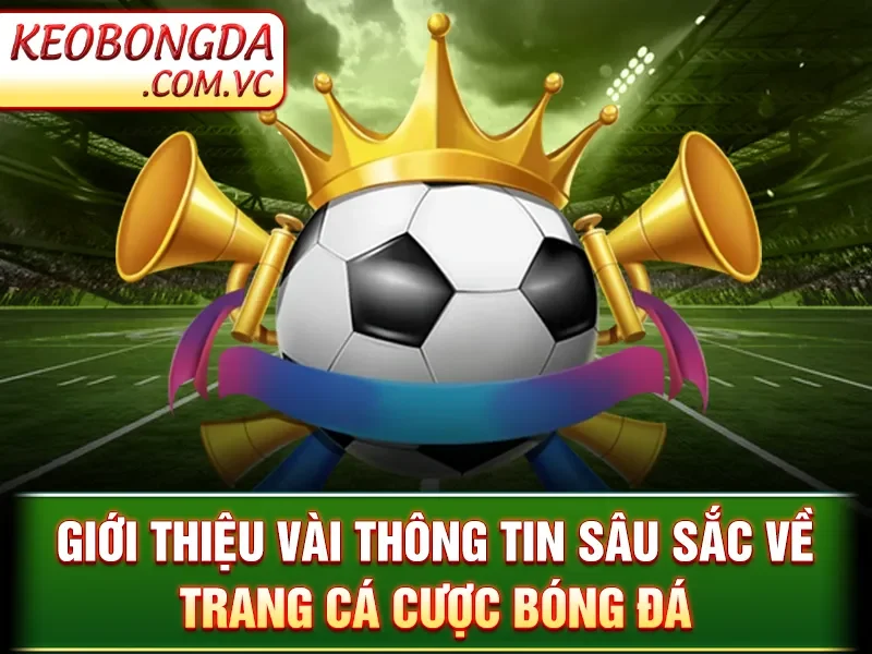 Giới Thiệu Kèo Bóng Đá - 24/7 1 Giới Thiệu Kèo Bóng Đá - Giới thiệu vài thông tin sâu sắc về trang cá cược bóng đá