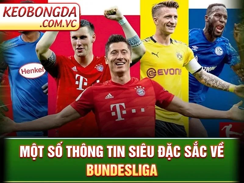 Một số thông tin siêu đặc sắc về Bundesliga