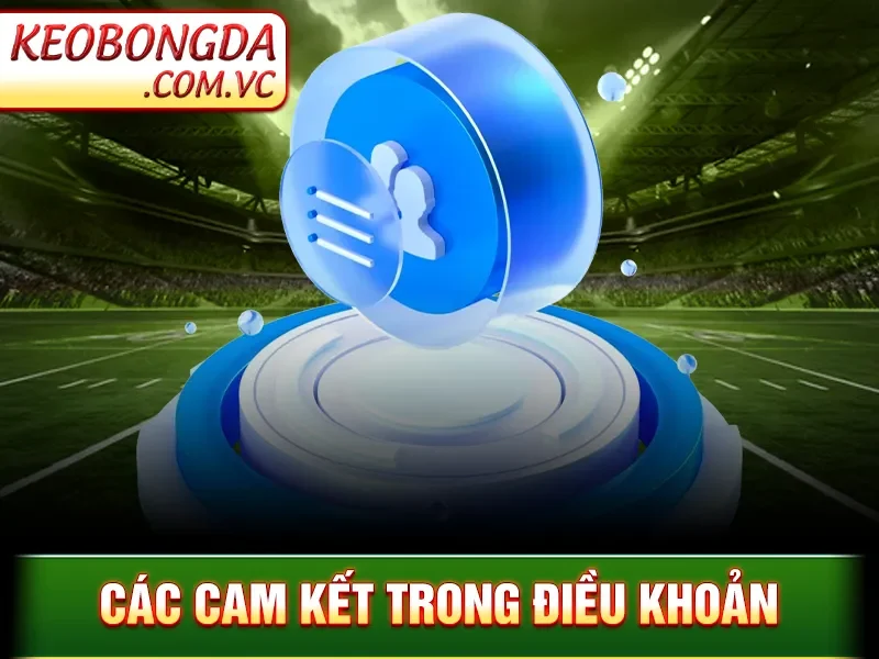 Điều Khoản Sử Dụng Kèo Bóng Đá - Hiểu Rõ Quy Định Quan Trọng 2 Điều Khoản Sử Dụng Kèo Bóng Đá - Các cam kết trong điều khoản